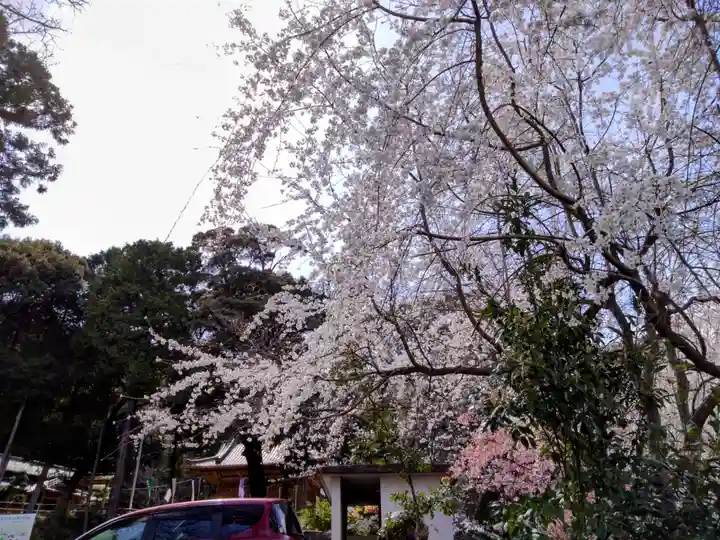 白山神社(愛知県)
