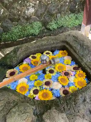 萬蔵稲荷神社の{uncategorized: "未分類", other: "その他", undefined: "問題あり", building: "その他建物", grave: "お墓", sacred_gate: "鳥居", guardian: "狛犬", statue: "像", buddha: "仏像", history: "歴史", nature: "自然", garden: "庭園", animal: "動物", pagoda: "塔", temizu: "手水舎", mountain_gate: "山門・神門", sanctuary: "本殿・本堂", subordinate: "末社・摂社", art: "芸術", scenery: "景色", jizo: "地蔵", ema: "絵馬", goshuin: "御朱印", omikuji: "おみくじ", items: "授与品その他", amulet: "お守り", goshuincho: "御朱印帳", eats: "食事", festival: "お祭り", votive_dance: "神楽", shichigosan: "七五三参", wedding: "結婚式", experience: "体験その他", initially: "初詣", around: "周辺", anti_infection: "感染症対策"}
