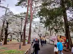 武蔵一宮氷川神社(埼玉県)