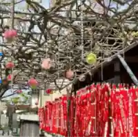 龍谷寺(静岡県)