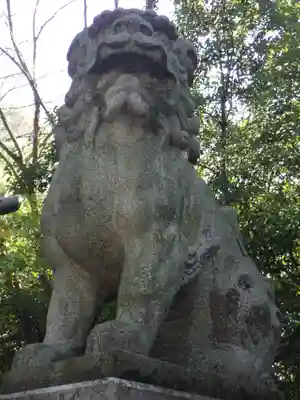 白山神社（二子町）の狛犬
