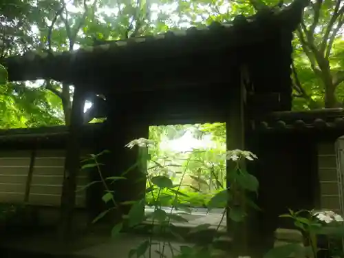 瑞泉寺の山門