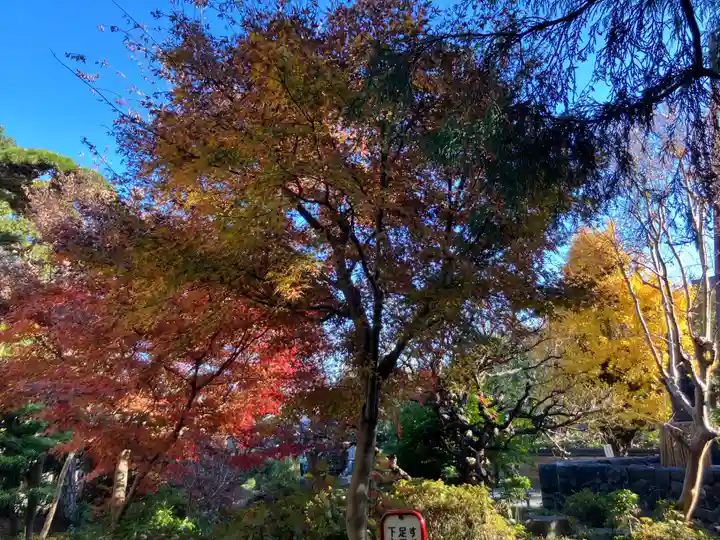 普門院(東京都)