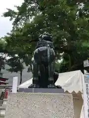 金神社の狛犬