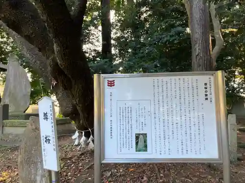 北野天神社(埼玉県)