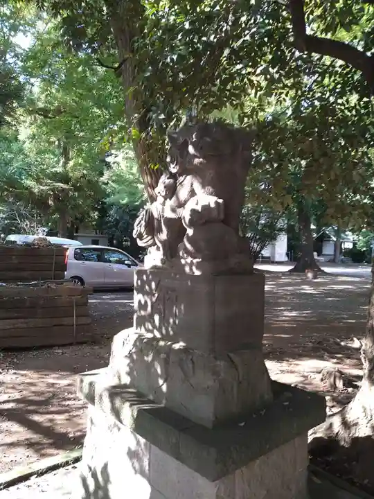 小金井神社の狛犬