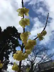 當麻寺の自然