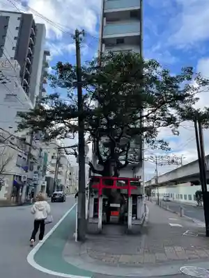 大姫大明神/玉姫大明神(兵庫県)