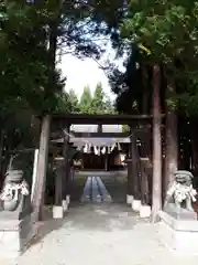 横手八幡神社の狛犬