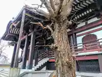 妙道寺の本殿・本堂