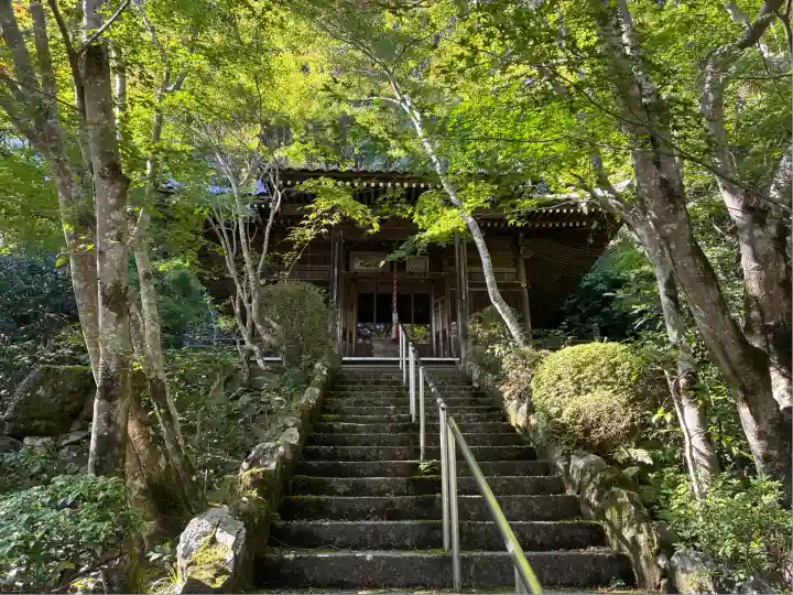 勝持寺(花の寺)(京都府)