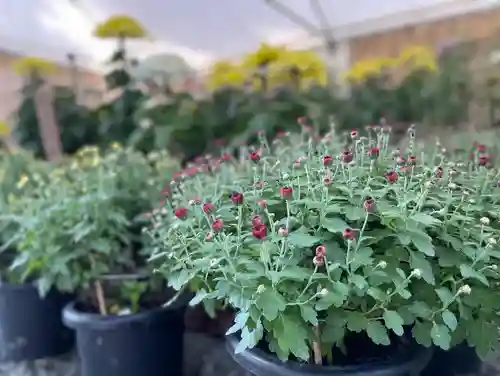 國魂神社の自然