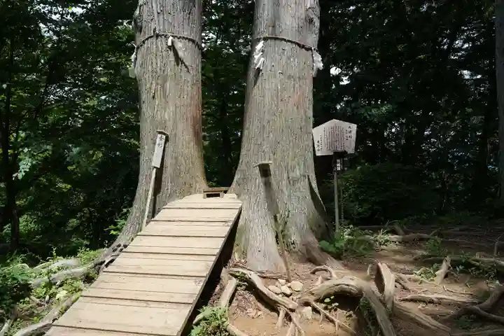 武蔵御嶽神社の自然