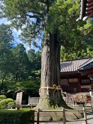 北口本宮冨士浅間神社(山梨県)