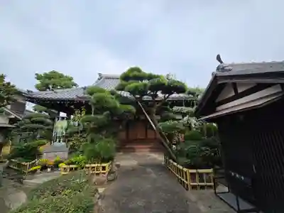 善徳寺(大阪府)