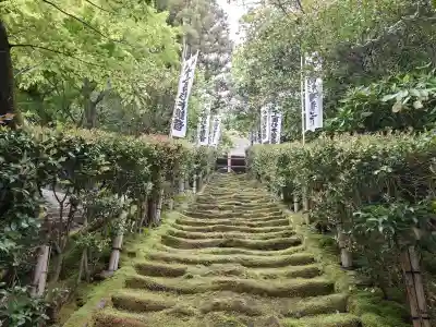 杉本寺の{uncategorized: "未分類", other: "その他", undefined: "問題あり", building: "その他建物", grave: "お墓", sacred_gate: "鳥居", guardian: "狛犬", statue: "像", buddha: "仏像", history: "歴史", nature: "自然", garden: "庭園", animal: "動物", pagoda: "塔", temizu: "手水舎", mountain_gate: "山門・神門", sanctuary: "本殿・本堂", subordinate: "末社・摂社", art: "芸術", scenery: "景色", jizo: "地蔵", ema: "絵馬", goshuin: "御朱印", omikuji: "おみくじ", items: "授与品その他", amulet: "お守り", goshuincho: "御朱印帳", eats: "食事", festival: "お祭り", votive_dance: "神楽", shichigosan: "七五三参", wedding: "結婚式", experience: "体験その他", initially: "初詣", around: "周辺", anti_infection: "感染症対策"}