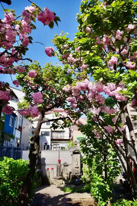 福王山 慈眼寺の自然