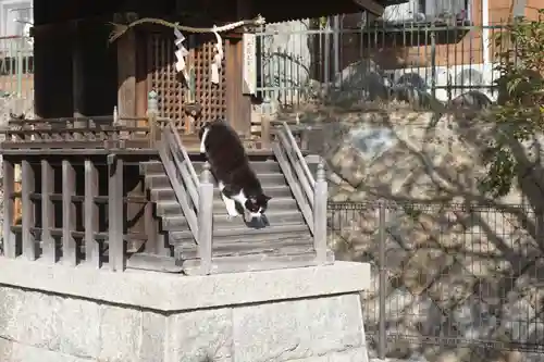 五宮神社の動物