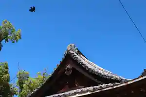 三津厳島神社の本殿・本堂(2021年10月15日(金) 06時58分48秒投稿)