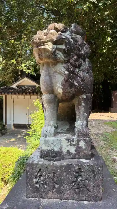 宇治上神社の狛犬