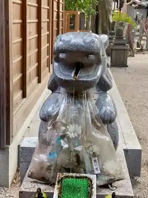 白峯神宮の狛犬