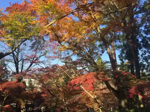 禅林寺（永観堂）の景色