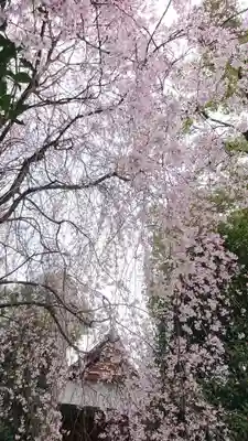 冠稲荷神社(群馬県)