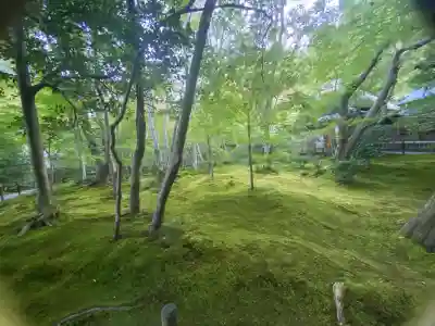 祇王寺の{uncategorized: "未分類", other: "その他", undefined: "問題あり", building: "その他建物", grave: "お墓", sacred_gate: "鳥居", guardian: "狛犬", statue: "像", buddha: "仏像", history: "歴史", nature: "自然", garden: "庭園", animal: "動物", pagoda: "塔", temizu: "手水舎", mountain_gate: "山門・神門", sanctuary: "本殿・本堂", subordinate: "末社・摂社", art: "芸術", scenery: "景色", jizo: "地蔵", ema: "絵馬", goshuin: "御朱印", omikuji: "おみくじ", items: "授与品その他", amulet: "お守り", goshuincho: "御朱印帳", eats: "食事", festival: "お祭り", votive_dance: "神楽", shichigosan: "七五三参", wedding: "結婚式", experience: "体験その他", initially: "初詣", around: "周辺", anti_infection: "感染症対策"}