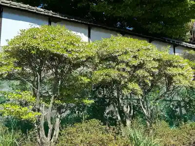 玄向寺(長野県)
