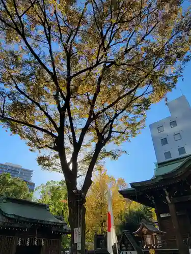 鐵砲洲稲荷神社の自然