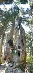 玉置神社(奈良県)