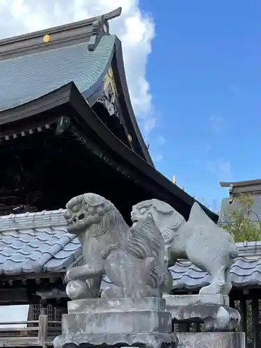 春日神社の狛犬