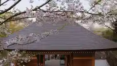 長谷寺(神奈川県)