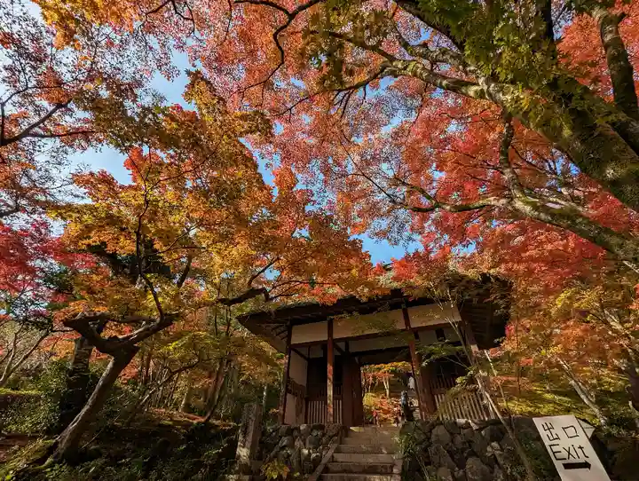 常寂光寺(京都府)