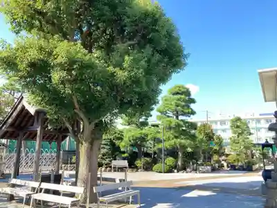 泉蔵寺のその他建物