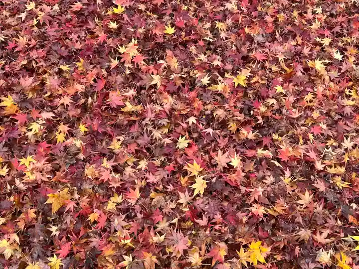 禅林寺(永観堂)(京都府)