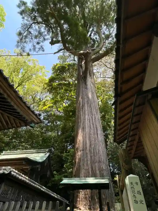 事任八幡宮の{uncategorized: "未分類", other: "その他", undefined: "問題あり", building: "その他建物", grave: "お墓", sacred_gate: "鳥居", guardian: "狛犬", statue: "像", buddha: "仏像", history: "歴史", nature: "自然", garden: "庭園", animal: "動物", pagoda: "塔", temizu: "手水舎", mountain_gate: "山門・神門", sanctuary: "本殿・本堂", subordinate: "末社・摂社", art: "芸術", scenery: "景色", jizo: "地蔵", ema: "絵馬", goshuin: "御朱印", omikuji: "おみくじ", items: "授与品その他", amulet: "お守り", goshuincho: "御朱印帳", eats: "食事", festival: "お祭り", votive_dance: "神楽", shichigosan: "七五三参", wedding: "結婚式", experience: "体験その他", initially: "初詣", around: "周辺", anti_infection: "感染症対策"}
