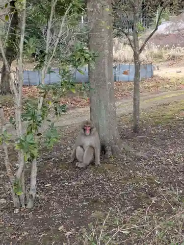 水澤寺(水澤観世音)(群馬県)