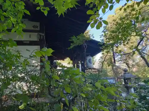 元慶寺(京都府)