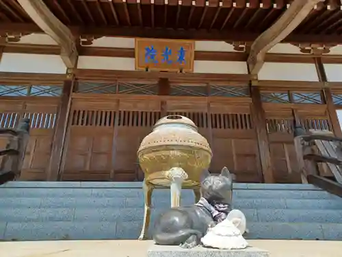 東光院(東京都)