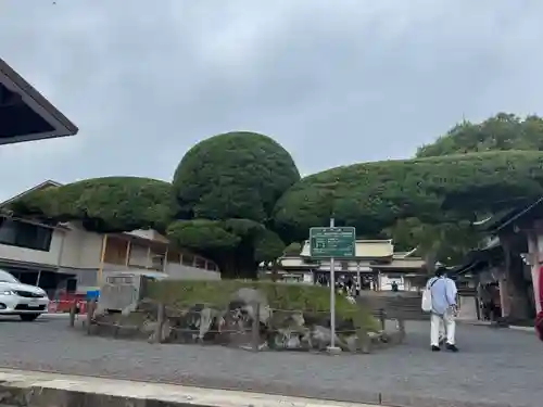 照國神社(鹿児島県)