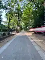 武蔵一宮氷川神社(埼玉県)