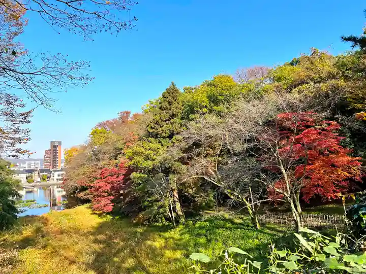 射水神社の自然