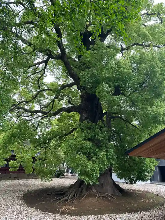 上野東照宮(東京都)