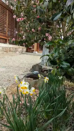 大松禅寺(京都府)