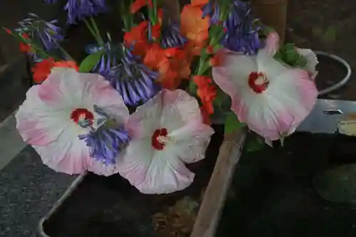高司神社〜むすびの神の鎮まる社〜の手水舎