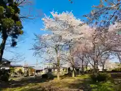 白山神社(新潟県)