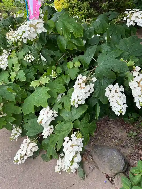 能護寺(埼玉県)
