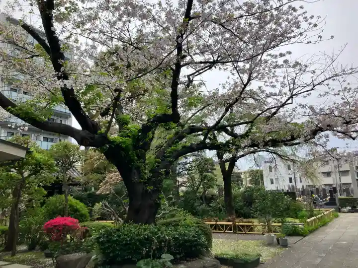 金藏院の{uncategorized: "未分類", other: "その他", undefined: "問題あり", building: "その他建物", grave: "お墓", sacred_gate: "鳥居", guardian: "狛犬", statue: "像", buddha: "仏像", history: "歴史", nature: "自然", garden: "庭園", animal: "動物", pagoda: "塔", temizu: "手水舎", mountain_gate: "山門・神門", sanctuary: "本殿・本堂", subordinate: "末社・摂社", art: "芸術", scenery: "景色", jizo: "地蔵", ema: "絵馬", goshuin: "御朱印", omikuji: "おみくじ", items: "授与品その他", amulet: "お守り", goshuincho: "御朱印帳", eats: "食事", festival: "お祭り", votive_dance: "神楽", shichigosan: "七五三参", wedding: "結婚式", experience: "体験その他", initially: "初詣", around: "周辺", anti_infection: "感染症対策"}