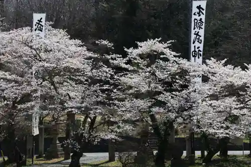 鹿島大神宮のお祭り